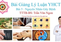 Bài Giảng Lý Luận YHCT Bài 5 Nguyên Nhân Gây Bệnh - Bác Sĩ Trần Văn Ngon