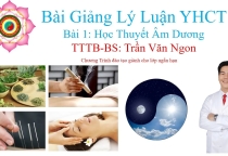 Bài Giảng Môn Lý Luận YHCT -  Bài 1: Học thuyết âm dương - TTTB-Bác Sĩ Ngon